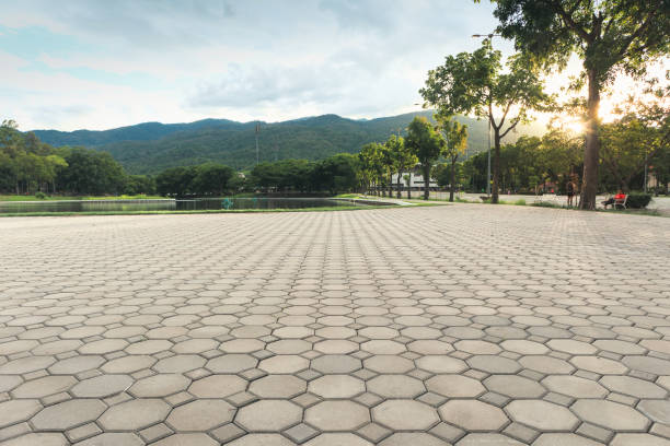 Best Local Driveway Pavers  in Clyde, NC